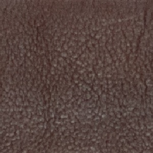 Texture Brown
